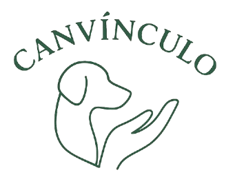 canvinculo